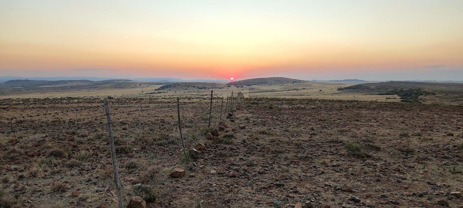 The view